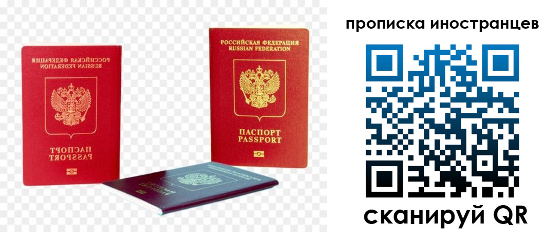 прописка для работы в Пионерском